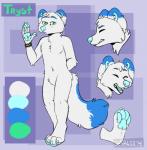 anthro blue_ears blue_nose blue_pawpads blue_tail fur green_eyes green_pupils hand_behind_back male nude pawpads pupils raised_arm solo tail two_tone_tail white_body white_fur white_tail subdivisions tryst_(havensfire) arctic_fox canid canine fox mammal true_fox 2014 hi_res model_sheet signature