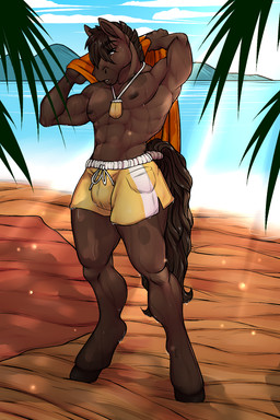 abs anthro areola beach biped brown_body brown_eyes brown_fur clothed clothing cloud day detailed_background front_view fur hands_behind_head hooves light light_beam looking_at_viewer male mane mountain nipples outside pecs pose sea sky solo standing sunbeam sunlight swimming_trunks swimwear tail topless topless_anthro topless_male towel water wet wet_body spottedp_anda0046 harry_(space_engy) equid equine horse mammal 2024 2:3 colored full-length_portrait hi_res portrait shaded