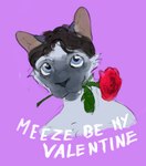 anthro blue_eyes brown_hair flower flower_in_mouth fur grey_body grey_fur hair holidays looking_at_viewer male multicolored_body multicolored_fur overbite_fang plant rose_(flower) rose_in_mouth solo two_tone_body two_tone_face two_tone_fur valentine's_day_card banoncat valentine's_day banoncat_(character) domestic_cat felid feline felis mammal siamese 2024 bust_portrait hi_res portrait