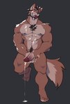 abs anthro balls big_penis biped bodily_fluids body_hair brown_body brown_fur chest_hair countershade_face countershade_fur countershade_tail countershade_torso countershading cum erection eyebrows fingers fur genital_fluids genitals glans hair humanoid_genitalia humanoid_penis male muscular muscular_anthro muscular_male pecs penis solo tail tongue tongue_out eyepatchedfloof sabin_(soarinsabin) canid canine canis hybrid mammal wolfdog hi_res