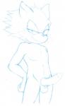 anthro balls erection genitals knot looking_at_viewer male nude penis solo jammiez sega sonic_the_hedgehog_(series) moku canid canine canis mammal wolf blue_and_white hi_res monochrome