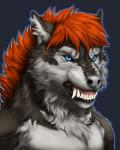 angry anthro bearing_fangs black_lips blue_background blue_eyes fangs front_view fur grey_body grey_fur grey_nose hair inner_ear_fluff lips looking_at_viewer male multicolored_body multicolored_fur orange_hair simple_background snarling snout solo teeth tuft two_tone_body two_tone_fur white_body white_fur felfi rogueliger storm_(stormwx_wolf) canid canine canis mammal wolf 2016 artist_collaboration bust_portrait digital_media_(artwork) hi_res portrait reaction_image