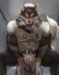 abs anthro anthro_penetrating anthro_penetrating_human big_dom_small_sub black_body black_fur blush bodily_fluids bottomless breath brown_body brown_fur canid canine canis clothed clothing cum cum_in_ass cum_inside doggystyle dominant dominant_anthro dominant_male drooling duo ejaculation four-character_idiom from_behind_position fur genital_fluids green_eyes hi_res holding_partner human human_on_anthro human_penetrated humukeaka1 interspecies japanese_text larger_anthro larger_male leaking_cum looking_pleasured male male/male mammal marbles_(pixiv) multicolored_body multicolored_fur muscular muscular_anthro muscular_male neck_tuft ogami_aratsuka open_mouth pecs penetration saliva sex size_difference smaller_human smaller_male smaller_penetrated submissive submissive_human submissive_male sweat tail text tongue tongue_out tuft vtuber white_body white_fur wolf