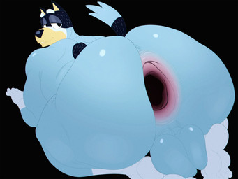 4_toes 5_fingers all_fours anthro anus backsack balls black_nose blue_body blue_eyebrows blue_fur clothing eyebrows feet fingers footwear fur gaping gaping_anus garter_belt garter_belt_socks garter_straps genitals gloves_(marking) half-closed_eyes looking_back male markings narrowed_eyes overweight overweight_anthro overweight_male perineum smile socks solo tail thick_thighs toes elotes_en_vaso bluey_(series) bandit_heeler australian_cattle_dog canid canine canis cattledog domestic_dog herding_dog mammal pastoral_dog 2026 4:3 digital_drawing_(artwork) digital_media_(artwork) english_description flat_colors hi_res