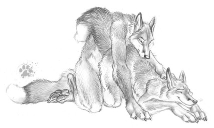 anal anal_penetration anthro ass_up claws dipstick_tail duo eyes_closed finger_claws from_behind_position fur inner_ear_fluff leapfrog_position male male/male markings obscured_penetration pawpads paws penetration penile penile_penetration pointy_ears prick_ears sex simple_background tail tail_markings toe_claws tuft whiskers white_background blotch scratches_volume_2 canid canine fox mammal red_fox true_fox 2008 monochrome traditional_media_(artwork)