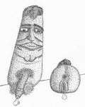 anus balls bodily_fluids body_hair cum duo eggplant female food fruit genital_fluids genitals hairy_balls male male/female penis plant pussy what where_is_your_god_now anonymous_artist absurd_res hi_res monochrome