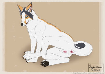 anatomically_correct anatomically_correct_anus anatomically_correct_genitalia anatomically_correct_vulva animal_genitalia animal_vulva anthro anus black_nose black_pawpads blue_eyes butt canine_genitalia canine_vulva female feral fur genitals monotone_anus monotone_genitals multicolored_body multicolored_fur pawpads paws pink_anus pink_vulva presenting presenting_anus presenting_hindquarters presenting_vulva semi-anthro simple_background solo spread_legs spreading text vulva white_body white_fur aureskarispriomnis pyrsyna_(aureskarispriomnis) canid canine canis fox mammal marble_fox red_fox true_fox 2022 dated digital_drawing_(artwork) digital_media_(artwork) english_text signature story story_in_description url