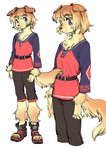 2021 absurd_res ambiguous_gender anthro aruurara bangs belt bottomwear canid canine canis chest_tuft clothed clothing domestic_dog fluffy footwear fur gradient_hair hair hi_res looking_at_viewer male mammal purple_eyes red_clothing retriever_(aruurara) shirt shoes shorts simple_background solo standing tan_body tan_fur tan_hair textless toeless_footwear toeless_shoes topwear tuft white_background