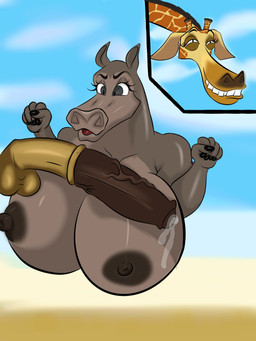 animal_genitalia animal_penis anthro anthro_on_anthro beach big_breasts big_penis breasts duo equine_genitalia equine_penis female female_anthro genitals interspecies male male/female male_anthro penis public public_nudity public_sex sex mrtjuino1 dreamworks madagascar_(series) gloria_(madagascar) melman_(madagascar) common_hippopotamus giraffe giraffid hippopotamid mammal 3:4 absurd_res hi_res