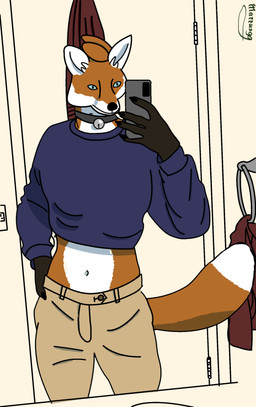 anthro bathroom bell bell_collar cellphone clothing collar crop_top electronics khaki_pants male mirror mirror_selfie phone selfie shirt solo text topwear markus99 markus_(markus99) canid canine fox mammal true_fox absurd_res hi_res