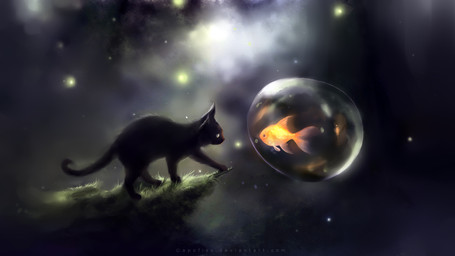 ambiguous_gender black_body black_fur bubble daww detailed_background duo feral forest fur log moss night outside plant quadruped surrealism tail tree wood yellow_eyes young apofiss ambient_arthropod ambient_firefly ambient_insect aquatic arthropod cyprinid cypriniform domestic_cat felid feline felis fish goldfish mammal 16:9 digital_media_(artwork) digital_painting_(artwork) hi_res painting_(artwork) wallpaper widescreen