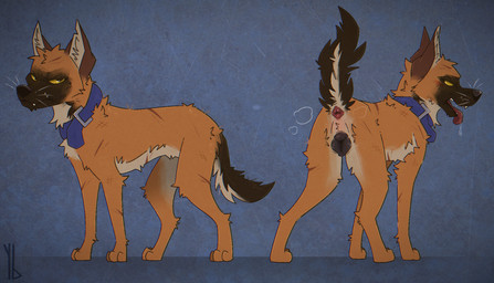 anatomically_correct anatomically_correct_genitalia anatomically_correct_vulva angry animal_genitalia animal_vulva anus belt_buckle black_nose black_vulva blue_background blue_collar blush bodily_fluids breath brown_body brown_fur brown_tail buckle butt canine_genitalia canine_vulva collar countershading drooling fangs female feral fur genitals looking_at_viewer looking_back multicolored_body multicolored_fur multiple_poses musk narrowed_eyes no_sclera notched_ear open_mouth panting pointy_ears pose presenting presenting_hindquarters presenting_vulva prick_ears quadruped raised_tail red_tongue saliva scar scratches simple_background solo standing tail tan_body tan_fur teeth tongue tongue_out two_tone_body two_tone_fur vulva whiskers yellow_eyes yaldabroth belgian_shepherd canid canine canis domestic_dog herding_dog mammal pastoral_dog sheepdog full-length_portrait hi_res multiple_images portrait