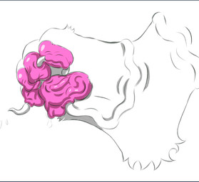 barefoot body_horror claws eroded feet foot_absorption foot_focus foot_vore fur gore infestation parasite paws pink_claws tentacles toes welkom where_is_your_god_now huanaaa animated animated_gif hi_res short_playtime