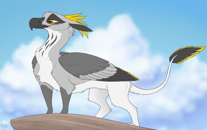beak brown_eyes feather_hair feathered_wings feathers feral fur grey_body grey_fur looking_down low-angle_view male pseudo_hair quadruped sky smile solo standing tail tail_feathers white_body white_fur wings yellow_body yellow_feathers mimi-fox mythology avian gryphon mythological_avian mythological_creature colored digital_drawing_(artwork) digital_media_(artwork) flat_colors hi_res