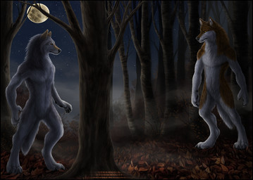 4_toes 5_fingers anthro athletic athletic_anthro athletic_male autumn autumn_leaves biped black_border black_claws black_lips black_nose black_pawpads black_sclera border brown_body brown_fur brown_markings cheek_tuft claws countershading curled_fingers detailed_background detailed_fur digitigrade duo eye_contact facial_tuft featureless_crotch feet finger_claws fingers fluffy fluffy_tail fog forest full_moon fur grey_body grey_claws grey_fur inner_ear_fluff leaves_on_ground light lips looking_at_another male mane markings moon moonlight multicolored_body multicolored_fur night nude outside pawpads paws pecs plant sky snout standing star starry_sky tail tense text toe_claws toes tree tuft two_tone_body two_tone_fur whiskers white_body white_fur yellow_eyes sidonie mythology lykanos_wulfheart stormwolff canid canine canis mammal mythological_canine mythological_creature werecanid werecanine werecreature werewolf wolf 2015 artist_name character_name detailed shaded story story_at_source story_in_description