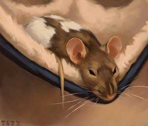 ambiguous_gender black_eyes brown_body brown_fur feral fur hammock long_tail pink_ears pink_nose resting solo tail whiskers white_body white_fur alexpahomov fancy_rat mammal murid murine rat rodent 2022 hi_res