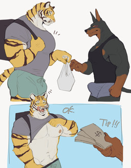 anthro anthro_on_anthro athletic_wear backpack big_muscles big_pecs black_body black_fur blush blush_lines body_hair bottomwear bottomwear_pull brown_body brown_fur bulge claws clothed clothing clothing_lift clothing_pull delivery_(commerce) delivery_employee detailed_bulge duo erection erection_under_clothing finger_claws fur gym_bottomwear gym_shorts happy_trail kemono licking licking_lips male male/male multicolored_body multicolored_fur muscular muscular_anthro muscular_male muscular_on_muscular nipples orange_body orange_fur pecs pink_nose pubes shirt shirt_lift shorts shorts_pull simple_background staring_at_chest striped_body striped_fur stripes t-shirt tank_top tipping tongue tongue_out topwear two_tone_body two_tone_fur k0bit0wani canid canine canis dobermann domestic_dog felid mammal pantherine pinscher tiger absurd_res hi_res