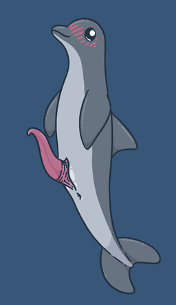 animal_genitalia animal_penis anus blush blush_lines cetacean_genitalia cetacean_penis countershading dorsal_fin feral fin genital_slit genitals glistening glistening_eyes grey_body male penis simple_background solo tail tail_fin tapering_penis gandergeist aquatic cetacean dolphin mammal oceanic_dolphin toothed_whale aliasing digital_media_(artwork) hi_res