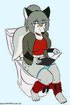 anthro big_breasts bottomwear bottomwear_down breasts clothed clothing female hair implied_scat on_toilet panties panties_down partially_clothed ponytail reading sitting_on_toilet solo toilet_use underwear underwear_down notmypornaccount grace_saberklaww_(bjkgreywolf) hyena mammal absurd_res hi_res