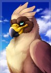 beak brown_body cloud feathered_crest feathered_wings feathers female feral green_eyes head_crest quadruped solo tail tail_tuft tuft wings whelpsy mythology serilde avian gryphon mythological_avian mythological_creature half-length_portrait hi_res portrait