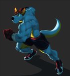 abs anthro anthrofied back_muscles biceps big_muscles blue_body blue_fur bottomwear boxing_gloves brown_hair clothed clothing fur hair handwear male muscular muscular_anthro muscular_male obliques shorts solo topless triceps rollingstoneeeeee animal_crossing nintendo rooney_(animal_crossing) kangaroo macropod mammal marsupial hi_res