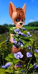 blue_eyes flower male outside plant smile solo vitki canid canine canis domestic_dog mammal 2020 3d_(artwork) digital_media_(artwork) hi_res signature