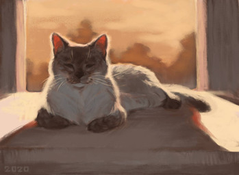 :3 ambiguous_gender brown_paws feral fur leg_markings markings quadruped shadow socks_(marking) solo whiskers white_body white_fur alexpahomov domestic_cat felid feline felis mammal 2020 detailed digital_media_(artwork) digital_painting_(artwork) painting_(artwork)