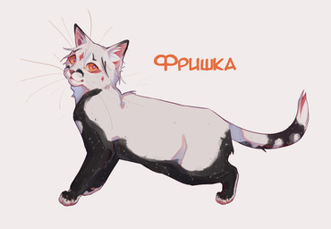 ambiguous_feral ambiguous_gender black_body black_fur feral fur looking_at_viewer mouth_closed orange_eyes side_view simple_background solo text whiskers white_background white_body white_fur justkiddinb domestic_cat felid feline felis mammal hi_res russian_text translated