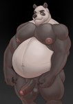 balls belly bodily_fluids erection eyebrows foreskin genital_fluids genitals glans humanoid_genitalia humanoid_penis male navel nipples overweight pecs penis precum slightly_chubby solo gabgbb bear giant_panda mammal hi_res