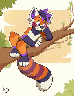 anthro black_body black_fur black_nose cheek_tuft claws cloud facial_tuft finger_claws fur glistening glistening_eyes hair in_tree logo male male_anthro markings messy_hair mouth_closed nude orange_body orange_fur orange_sky outside plant purple_claws purple_eyes purple_hair short_hair sky solo striped_markings striped_tail stripes tail tail_markings tree tuft whiskers young young_anthro young_male pandapaco ailurid mammal red_panda 2024 artist_logo dated hi_res signature