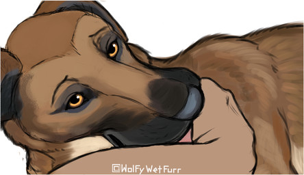 ambiguous_feral ambiguous_gender duo feral feral_focus floppy_ears hand_in_mouth looking_at_viewer love_bite soft_mouth solo_focus yellow_eyes wolfywetfurr_(artist) canid canine canis domestic_dog german_shepherd herding_dog hybrid mammal mastiff molosser pastoral_dog female_(lore)