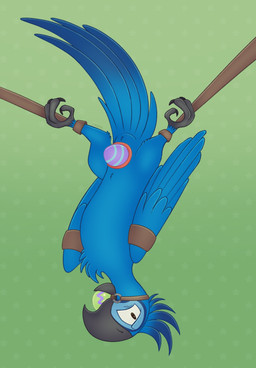 animal_genitalia avian_feet bdsm beak blue_body blue_feathers bondage bound brown_eyes cloaca cloacal easter_egg egg egg_from_cloaca feathered_wings feathers feet feral folded_wings gag gagged genitals green_background grey_beak holidays looking_at_viewer male oviposition simple_background solo spread_legs spreading tail tail_feathers talons toes toony upside_down wings cyadical 20th_century_fox blue_sky_studios easter rio_(series) chance_(cyadical) fan_character avian bird macaw neotropical_parrot parrot spix's_macaw true_parrot digital_drawing_(artwork) digital_media_(artwork) full-length_portrait hi_res portrait shaded
