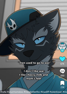 ambiguous_gender anthro blue_clothing blue_eyes blue_hat blue_headwear close-up clothing fur grey_body grey_fur grey_markings hashtag hat headgear headwear humor looking_at_viewer markings shitpost social_media solo stated_incest text pankallisti hollow_knight_(franchise) team_cherry tiktok malakai_(malakai) canid canine canis mammal wolf english_text hi_res meme reaction_image incest_(lore)