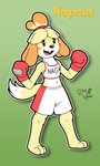 anthro blush boxing_gloves clothed clothing female fur green_background hair handwear open_mouth simple_background smile solo standing teeth tongue yellow_body yellow_fur richyminer animal_crossing nintendo isabelle_(animal_crossing) canid canine canis domestic_dog mammal shih_tzu toy_dog 2019 hi_res