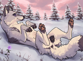 animal_genitalia animal_vulva anus black_anus black_claws black_nose black_tail_tip black_vulva canine_genitalia canine_vulva claws dipstick_tail female feral fur genitals lying markings nipples on_back outside pawpads pink_eyes pink_pawpads plant snow solo tail tail_anus tail_markings tree vulva white_body white_fur white_tail hakudoge azaylea canid canine canis mammal wolf 2024 hi_res