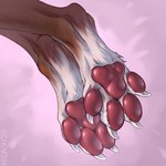 1:1 2020 4_toes abstract_background ambiguous_gender anthro beastfromhell brown_body brown_fur claws feet foot_focus fur hi_res mammal pawpads paws pink_pawpads simple_background soles solo toe_claws toes white_body white_fur