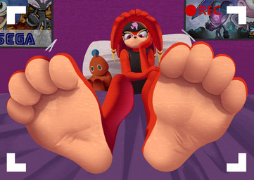 4_toes anthro bed bedroom camera_view feet female foot_fetish foot_focus furniture low-angle_view soles solo toes mrboyfeet sega sonic_chronicles:_the_dark_brotherhood sonic_the_hedgehog_(series) shade_the_echidna echidna mammal monotreme hi_res