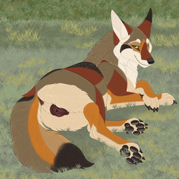 animal_genitalia animal_vulva anus black_pawpads brown_body brown_fur canine_genitalia canine_vulva female female_feral feral fluffy fluffy_tail fur genitals grass looking_at_viewer looking_back lying on_side outside pawpads plant smile smiling_at_viewer solo tail vulva white_body white_fur yellow_eyes hedonophobia_h yops_(psychedelicyops) canid canine canis coyote mammal 1:1 2025 hi_res