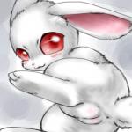 anus blush female feral fur genitals looking_at_viewer presenting presenting_pussy pussy red_eyes solo white_body white_fur box_xod lagomorph leporid mammal rabbit 1:1 2015 low_res