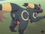 anal anal_penetration animal_genitalia animal_penis anus bestiality canine_genitalia canine_penis duo feral genitals male male/male penetration penis sex solo_focus i69himdaily nintendo pokemon eeveelution generation_2_pokemon human mammal pokemon_(species) umbreon 2d_animation 4:3 animated digital_media_(artwork) hi_res high_framerate long_playtime no_sound webm