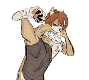 anthro bandage blue_eyes bottomwear brown_hair claws clothing female fist frown hair kick muscular pawpads paws scowl shorts solo tan_body capngoku lis_catte felid feline mammal absurd_res character_request compression_artifacts hi_res