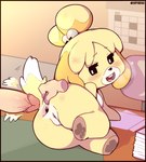 2023 animal_crossing anthro anus bedroom_eyes breath butt calendar canid canine canis desk detailed_background disembodied_hand disembodied_penis domestic_dog female furniture genitals happy hi_res humanoid_genitalia humanoid_hands humanoid_penis imminent_anal imminent_sex inside isabelle_(animal_crossing) kappadoggo lying male mammal narrowed_eyes nintendo nude office office_desk on_desk on_side panting penis seductive shih_tzu spread_anus spread_butt spreading table tagme tail tongue toy_dog