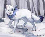 blood blue_eyes bodily_fluids canid canine canis claws dipstick_tail dr.kiyo eyebrows feral fur hi_res kemono male mammal markings paws plant quadruped snow solo tail tail_markings tree white_body white_fur wolf