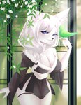 anthro asian_clothing blue_eyes clothing east_asian_clothing female hair japanese_clothing kimono plant ponytail solo white_hair irushi000 alice_destiny arctic_fox avian bird canid canine fox mammal true_fox absurd_res hi_res