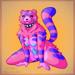 anthro breasts collar fur genital_piercing genitals gynomorph intersex penis penis_piercing piercing pink_body pink_fur slightly_chubby solo studded_collar studs alpha_werehimbo animal_crossing nintendo claudia_(animal_crossing) felid mammal pantherine tiger 1:1 hi_res