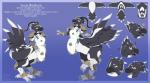 beak biped bipedal_taur clothed clothing feathers feet female monk solo talons text toes wings witchofavalon final_fantasy square_enix taross avian avian_taur chocobo chocobo_taur taur english_text model_sheet