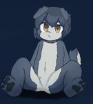 ambiguous_gender anthro brown_eyes collar collar_only fur grey_body grey_fur nude solo young young_anthro ganghandog canid canine canis domestic_dog mammal hi_res