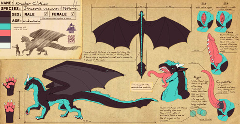 2_tongues anal animal_genitalia animal_penis anus blue_body blue_fur bodily_fluids butt cetacean_genitalia claws egg erection feet feral fur genitals hair herm horn intersex knot looking_at_viewer maleherm multi_tongue nude open_mouth open_smile ovipositor pawpads paws penile penile_spines penis simple_background size_difference smile solo standing tail tapering_penis teal_body teal_fur text toes tongue tongue_out unusual_anatomy unusual_genitalia unusual_penis vaginal vulva wings dreks_thel european_mythology mythology kraalor_chthau_(reks_lih) dragon furred_dragon furred_scalie mythological_creature mythological_scalie scalie absurd_res digital_media_(artwork) hi_res model_sheet