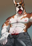 2022 5_fingers abs absurd_res anthro areola bedroom_eyes biceps bodily_fluids bottomwear brown_body brown_fur brown_nose bulge canid canine canis claws clothed clothing denim denim_bottomwear denim_clothing detailed_bulge digital_media_(artwork) domestic_dog drooling ear_piercing eyebrows fangs finger_claws fingerpads fingers fur genital_outline great_dane grey_eyes hi_res jeans looking_at_viewer looking_down looking_down_at_viewer low-angle_view male male_anthro mammal mastiff molosser muscular muscular_anthro muscular_male narrowed_eyes navel nipples notched_ear open_bottomwear open_clothing open_mouth open_pants pants pawpads pecs penis_outline piercing pink_areola pink_nipples saliva seductive simple_background solo teeth tongue tongue_out topless triceps twistedhound underwear unzipped vein veiny_muscles watermark white_body white_fur zipper