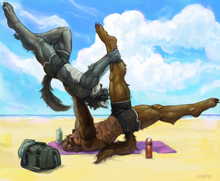 andromorph anthro beach duo intersex male male/male yoga angel_(artist) sigi gunn canid canine canis mammal wolf hi_res